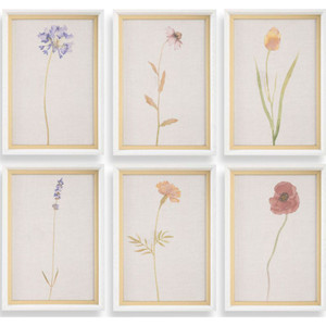 Wild Flourish Framed Prints, S/6