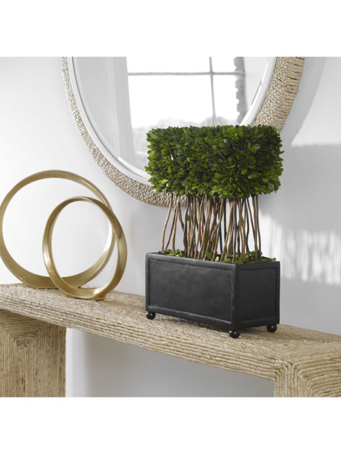 Preserved Boxwood Rectangular Topiary 60188