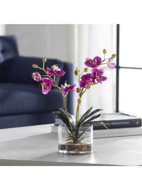 Glory Orchid, Fuschia 60220