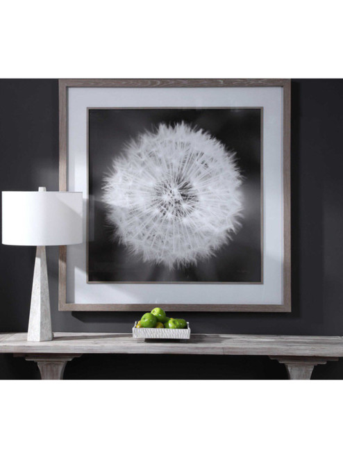 Dandelion Seedhead Framed Print 33711