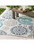 Alfresco Outdoor Rug ALF-9665 by Surya