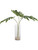 Ibero Split Leaf Palm 60181