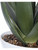 Evarado Aloe Planter 60177