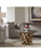 Driftwood Coffee Table, Small, 2 Cartons 25519