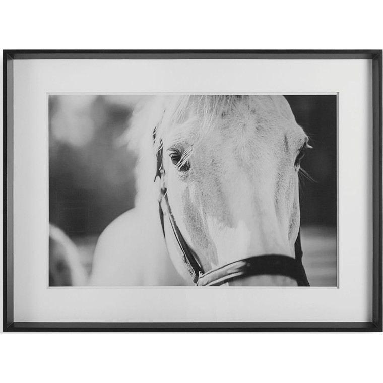 Eyes On The Prize Framed Print