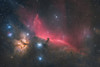 The Horsehead Nebula in Orion by Daniel McCauley 13" x 19" Print