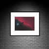 The Horsehead Nebula by Daniel McCauley 13" x 19" Print