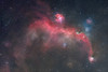 The Seagull Nebula by Daniel McCauley 13" x 19" Print