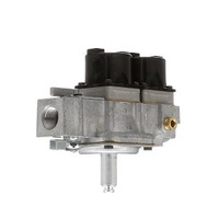 (T9-3) Lang 80505-10 Solenoid dual gas