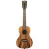 NEW KALA SPALTED MANGO CONCERT UKULELE