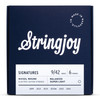 STRINGJOY SIGNATURES - BALANCED SUPER LIGHT GAUGE (9-42) 