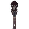 LOTUS LB25 5 STRING GOLDEN EAGLE BANJO