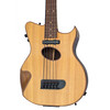 GILLETT STANDARD CONTOUR P5 POPLAR 5 STRING BASS - ACOUSTIC/ELECTRIC - FRETLESS