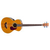 SIGMA BY MARTIN STB-R-1 A/E BASS WITH CASE!