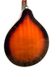 STADIUM M-30T ELECTRIC MANDOLIN