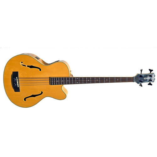 SAMICK HFB 590 ACOUSTIC / ELECTRIC BASS