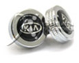 Kia License Plate Bolts