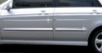 Spectra Chrome Door Protectors