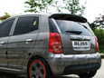 Picanto FNB Rear Window Accents