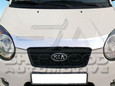 Picanto Chrome Hood Guard