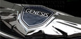 2013+ Genesis Coupe Loden GENUINE Wing Badge Chrome 2013+ Genesis Coupe Loden GENUINE Wing Badge Chrome