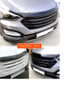 2013-2014 Santa Fe DM ix45 Smoke HOOD GUARD