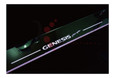 2010-2012 Genesis Coupe DMZ Door Sills Traveling LED 2pc Set 2010-2012 Genesis Coupe DMZ Door Sills Traveling LED 2pc Set