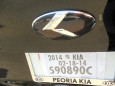 2015 + Sedona Carnival YP *NEW* LODEN "METAL SKIN" Carbon K FULL SET Grill/Trunk/Steering/ Caps Emblem Badge Set 7pc