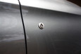 LODEN "PLUG-IN" Hybrid Electric Car Accent Emblem LODEN "PLUG-IN" Hybrid Electric Car Accent Emblem