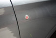 LODEN "PLUG-IN" Hybrid Electric Car Accent Emblem