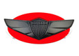Genesis Coupe VISION G Concept Style Wing badge emblem replacement conversion 2010 2011 2012 2013 2014 2015 2016 red blue black white silver gold chrome black-chrome matte black white g60 Genesis Coupe VISION G Concept Style Wing badge emblem replacement conversion 2010 2011 2012 2013 2014 2015 2016 red blue black white silver gold chrome black-chrome matte black white g60