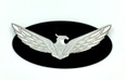 2012-2016 Azera LODEN EAGLE Emblem Badge Grill/Hood/Trunk (Various Colors)