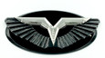2010-2014 Genesis Coupe (V.2) Anzu-T Wing Badge Replacement Hood/Trunk (Various Colors)
