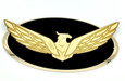 Loden Eagle Badge Gold Plated Edge Metallic Gold Eagle Gloss Black Center for Kia Hyundai models Loden Eagle Badge Gold Plated Edge Metallic Gold Eagle Gloss Black Center for Kia Hyundai models