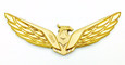 LODEN EAGLE badge metal design for Kia Hyundai and more universal 150mm x50mm design Chrome Black-Chrome Gunmetal Gold Silver Matte Black colors LODEN EAGLE badge metal design for Kia Hyundai and more universal 150mm x50mm design Chrome Black-Chrome Gunmetal Gold Silver Matte Black colors