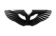 LODEN ANZU-T Wing Badge Emblem for 2022+ EV6 (Multiple Colors)  LODEN ANZU-T Wing Badge Emblem for 2022+ EV6 (Multiple Colors)