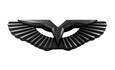LODEN ANZU-T Wing Badge Emblem for 2022+ Carnival (Multiple Colors) 