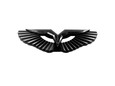 LODEN ANZU-T Wing Badge Emblem for 2022+ Rio Hatchback 5dr (Multiple Colors) 