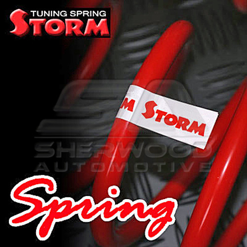 2011+ Elantra MD Storm Lowering Springs