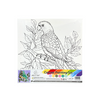 Canvas Paint by Number Set- Parrot.   Include:    1 Wrapped Canvas 11.8"x11.8",     6 Acrylic Paint Colors,   1 Pointed Tip Paint Brush w/plastic handle