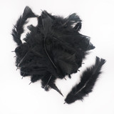Black Feathers