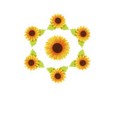 Sunflower Felt Shapes