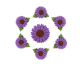 Sunflower Felt Shapes