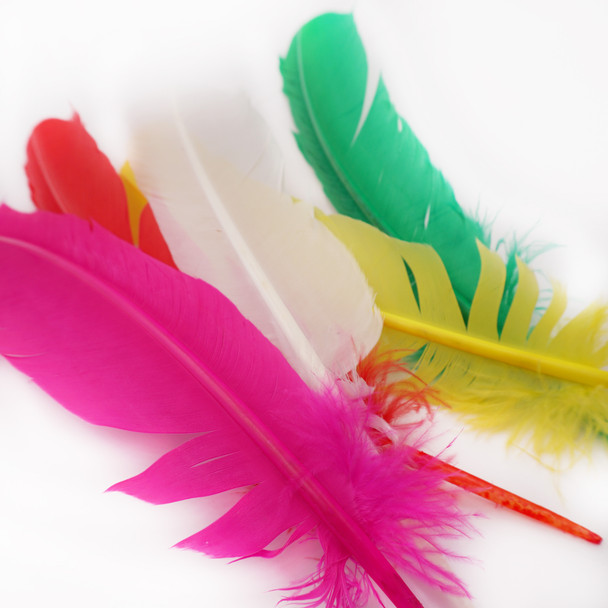 Fun Feathers - Angels Craft