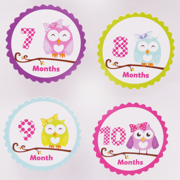Owl Baby Month Sticker