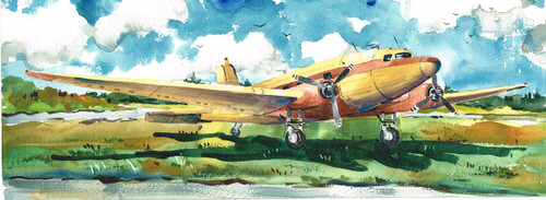 Dick Folsom: Bush Pilot (with 2 discs) - Moosehead Marketplace