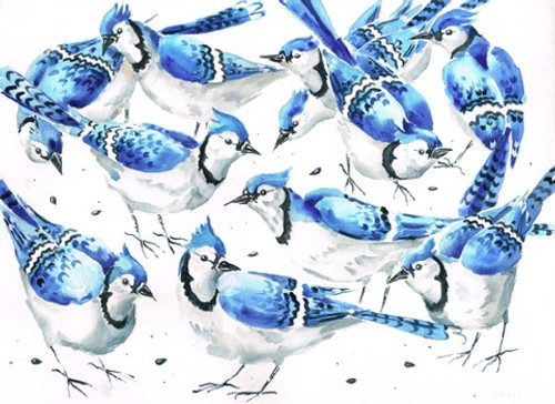 Bluejay Print