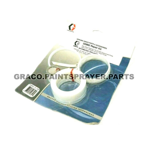 220862 - KIT REPAIR - Graco Original Part - Image 1