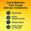 Xyzal Allergy 24 Hour 35 Tablets (Pack of 2)