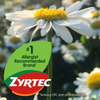 Zyrtec 24 Hour Allergy Relief Tablets with 10 mg Cetirizine Hci, 90 Ct
